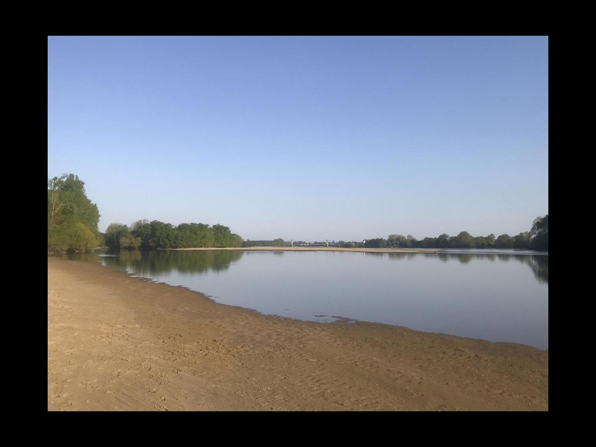 Une Nuit Sur Loire Treves-Cunault Екстериор снимка